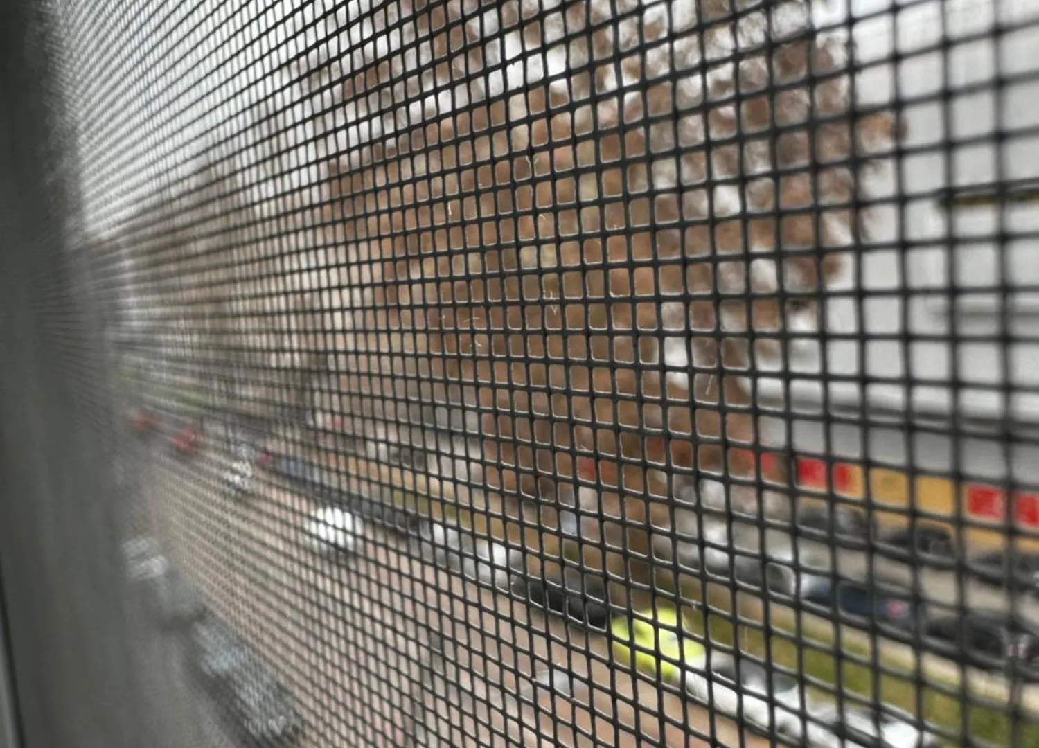 Apartmán Regina Milano In Corso Lodi - Sky Tv, Wifi E Breakfast Box